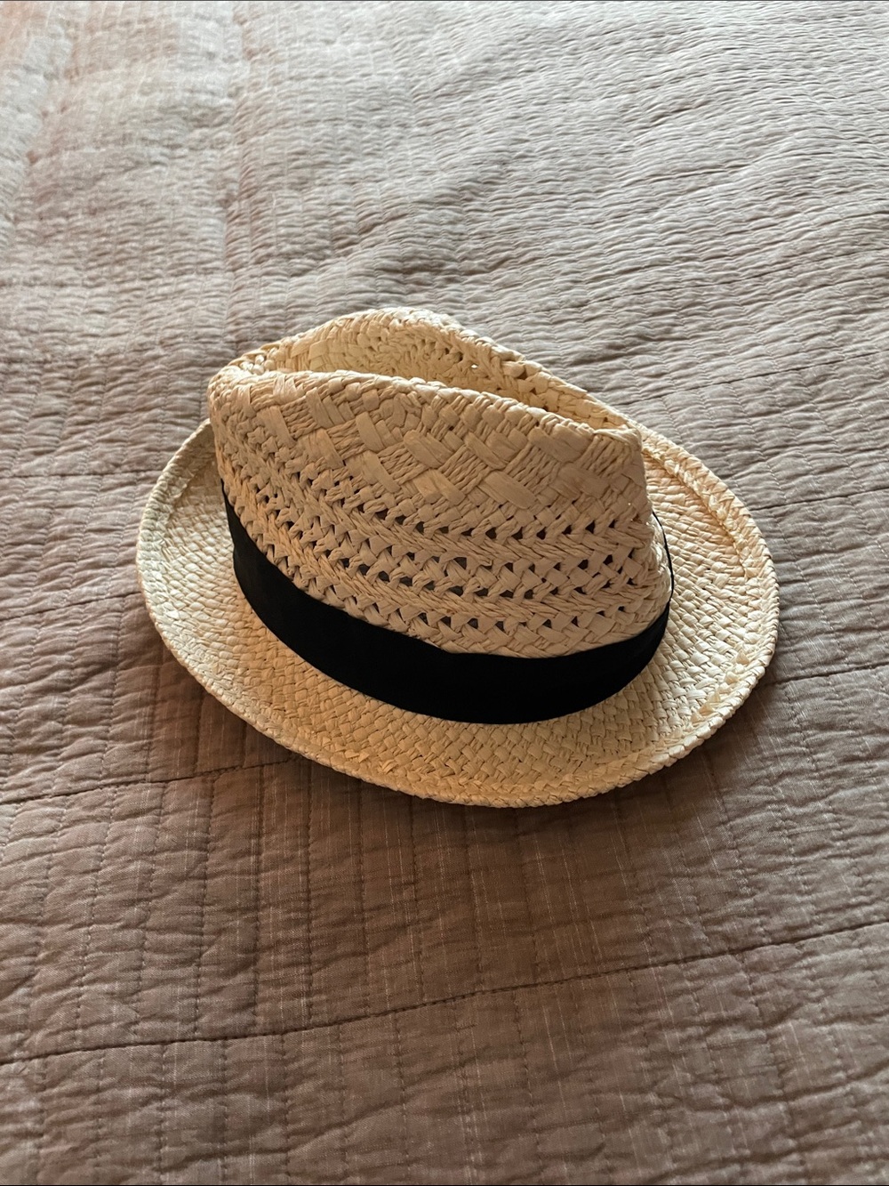 J. Crew Natural Straw Fedora Hat with Dark Brown Band unisex